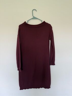 dip Burgundy Long Sleeve Knit Mini Dress
